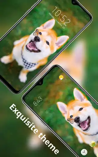 Play Cute animal pet lovely doggy with butterfly theme  and enjoy Cute animal pet lovely doggy with butterfly theme with UptoPlay