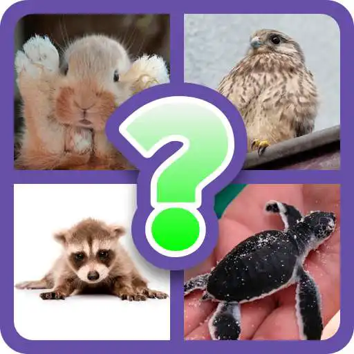 Run free android online Cute Animal Quiz APK Run free android online Cute Animal Quiz APK