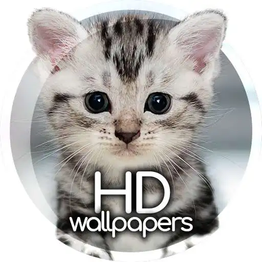 Play Cute animals APK Play Cute animals APK