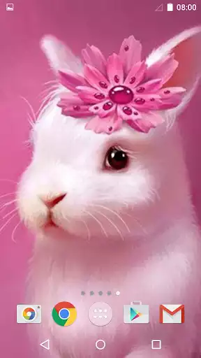 Play Cute Animals Live Wallpaper and enjoy Cute Animals Live Wallpaper with UptoPlay Play Cute Animals Live Wallpaper and enjoy Cute Animals Live Wallpaper with UptoPlay