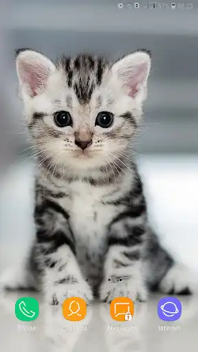 Play Cute Animals Wallpaper  and enjoy Cute Animals Wallpaper with UptoPlay