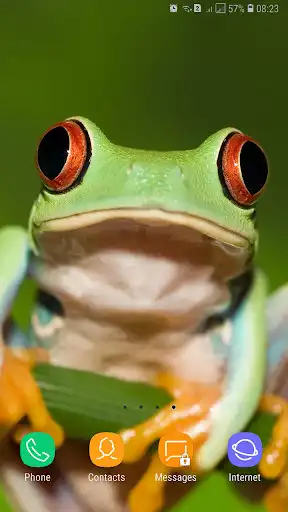 Play Cute Animals Wallpaper as an online game Cute Animals Wallpaper with UptoPlay