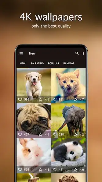 Play Cute Animal Wallpapers 4K  and enjoy Cute Animal Wallpapers 4K with UptoPlay