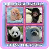 Free play online Cute Baby Animals - Guess The Names APK