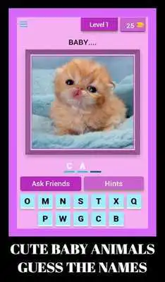 Play Cute Baby Animals - Guess The Names