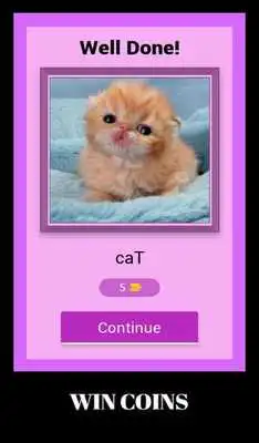 Play Cute Baby Animals - Guess The Names