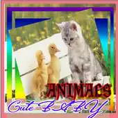 Free play online Cute BABY Animals APK