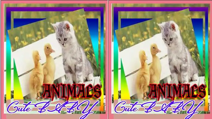 Play Cute BABY Animals