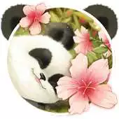 Free play online Cute Baby Panda Theme APK Free play online Cute Baby Panda Theme APK