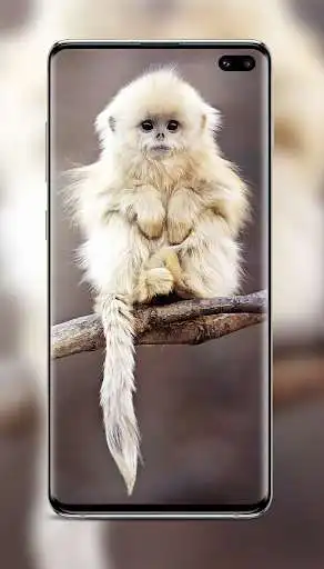 Play Cute Background  and enjoy Cute Background with UptoPlay