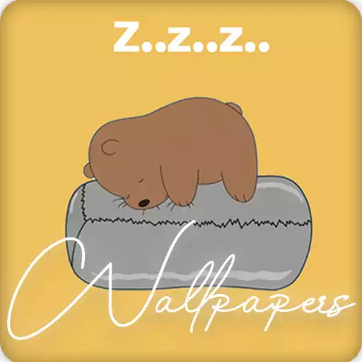 Play Cute Bear Wallpapers HD APK Play Cute Bear Wallpapers HD APK