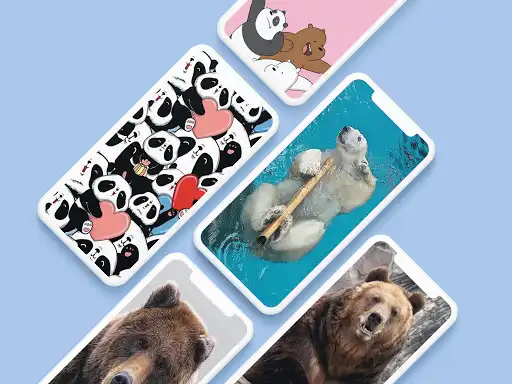 Play Cute Bear Wallpapers  and enjoy Cute Bear Wallpapers with UptoPlay