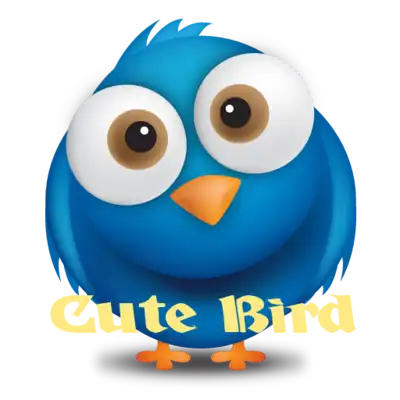 Play Cute Bird Memory Game for Kids