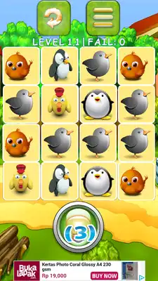 Play Cute Bird Memory Game for Kids