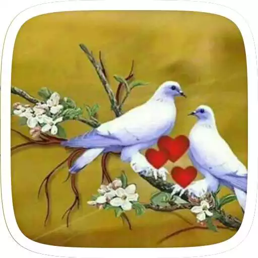 Free play online Cute Birds Theme APK Free play online Cute Birds Theme APK