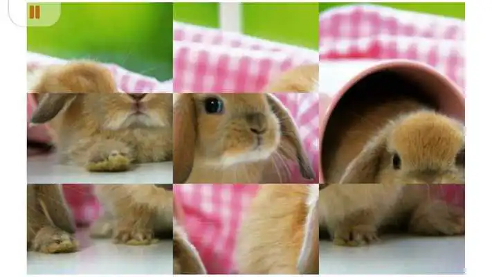 Play Cute Bunny Puzzle for Kids
