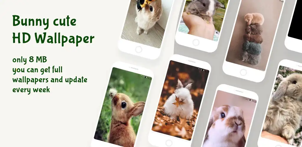 Play Cute Bunny Wallpapers HD  4K  and enjoy Cute Bunny Wallpapers HD  4K with UptoPlay