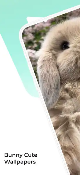Play Cute Bunny Wallpapers HD  4K as an online game Cute Bunny Wallpapers HD  4K with UptoPlay
