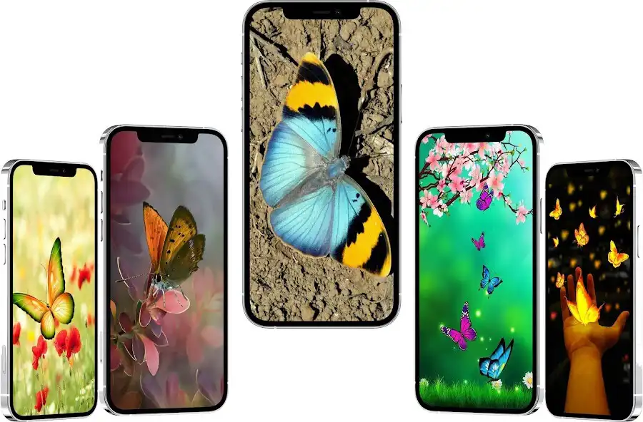 Play cute butterflies wallpapers  and enjoy cute butterflies wallpapers with UptoPlay