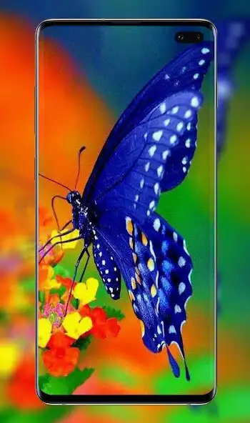 Play cute butterflies wallpapers as an online game cute butterflies wallpapers with UptoPlay