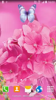 Play Cute Butterfly Live Wallpaper