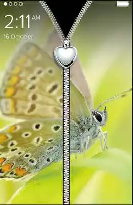 Play Cute Butterfly Zip Lock Screen