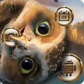 Free play online Cute Cartoon Owl Eyes Theme APK Free play online Cute Cartoon Owl Eyes Theme APK