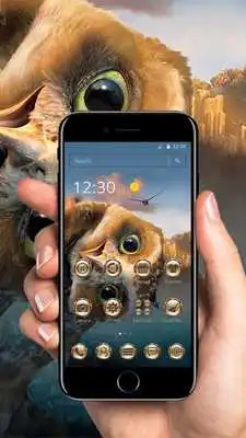 Play Cute Cartoon Owl Eyes Theme