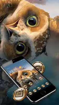Play Cute Cartoon Owl Eyes Theme
