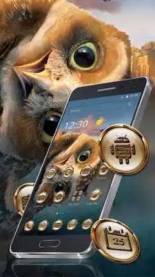 Play Cute Cartoon Owl Eyes Theme
