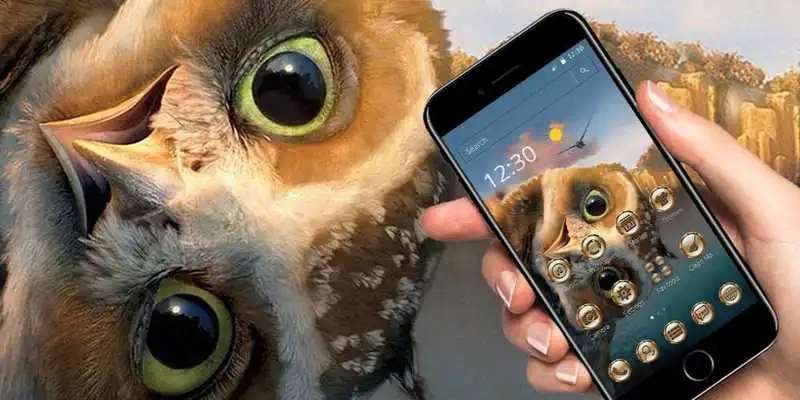 Play Cute Cartoon Owl Eyes Theme