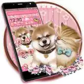 Free play online Cute Cat and Dogs APK Free play online Cute Cat and Dogs APK