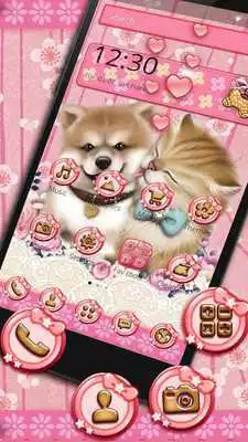 Play Cute Cat and Dogs