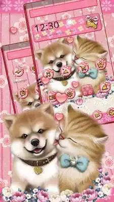 Play Cute Cat and Dogs