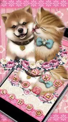 Play Cute Cat and Dogs