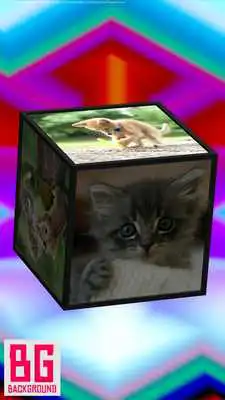 Play Cute Cat Cube