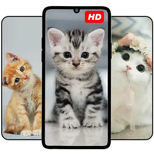 Play Cute Cat  Kitten Wallpaper HD APK