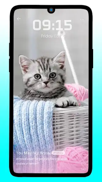 Play Cute Cat  Kitten Wallpaper HD as an online game Cute Cat  Kitten Wallpaper HD with UptoPlay