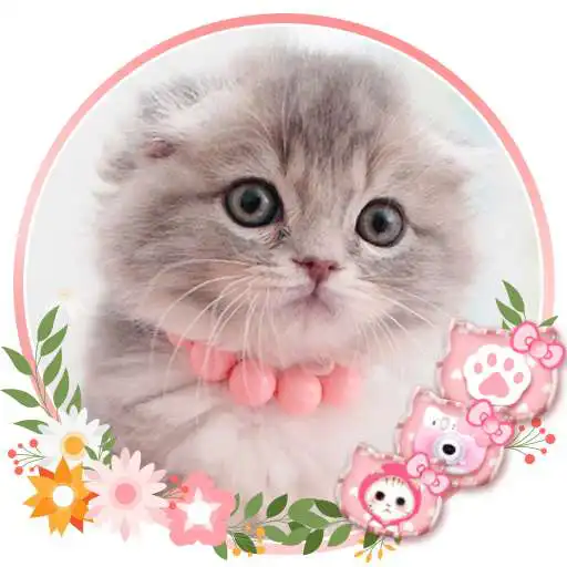 Play Cute Cat Live Launcher Theme 3D Wallpapers APK