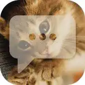 Free play online Cute Cat - Messaging 7 APK