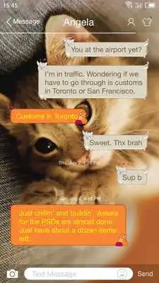 Play Cute Cat - Messaging 7