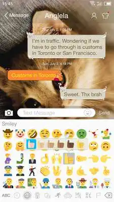 Play Cute Cat - Messaging 7