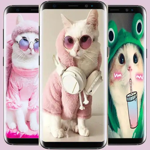 Play Cute Cat Outfit Wallpaper APK