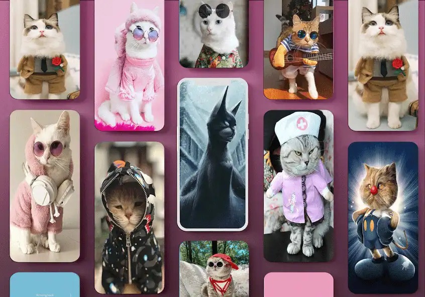 Play Cute Cat Outfit Wallpaper  and enjoy Cute Cat Outfit Wallpaper with UptoPlay