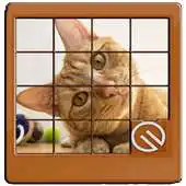 Free play online cute cat phots slide puzzle game APK