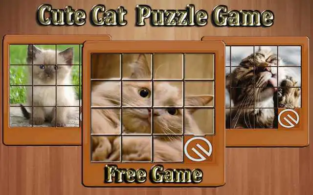 Play cute cat phots slide puzzle game