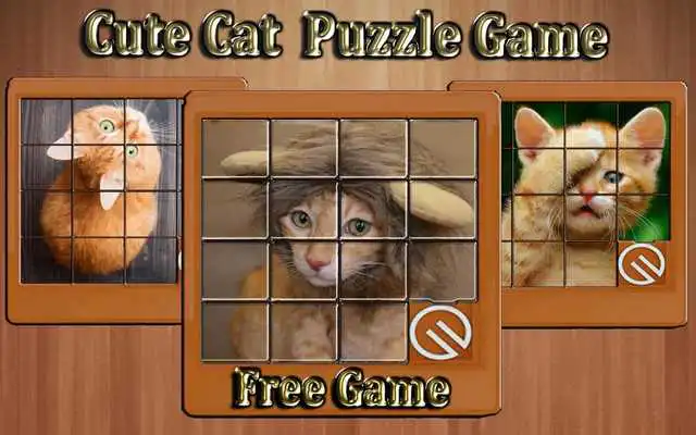 Play cute cat phots slide puzzle game