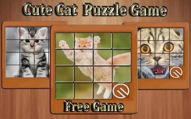 Play cute cat phots slide puzzle game