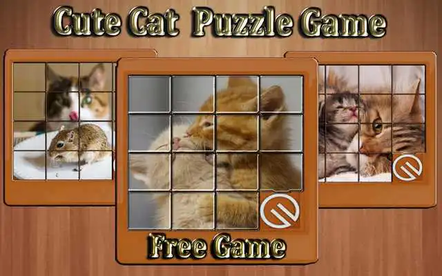 Play cute cat phots slide puzzle game
