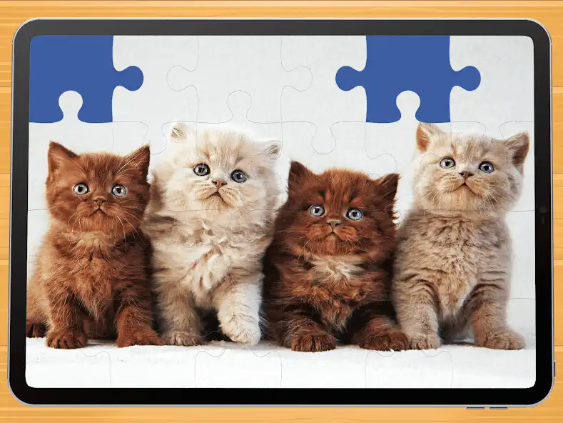 Play Cute cat puzzle game  and enjoy Cute cat puzzle game with UptoPlay